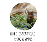 huile-eucalyptus