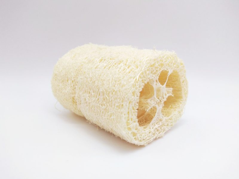 Eponge loofah